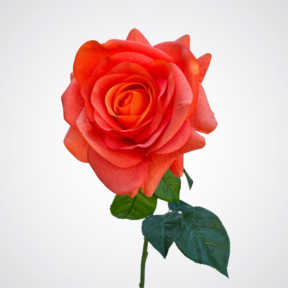 Sunset Orange Real Touch Rose