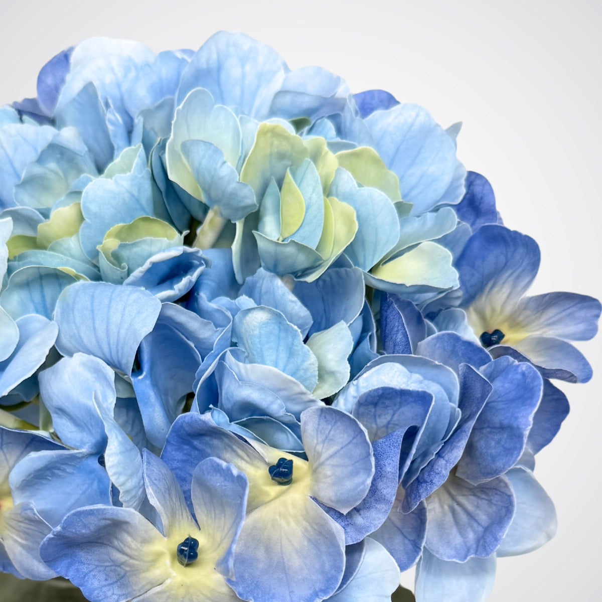 Blue Real Touch Hydrangea