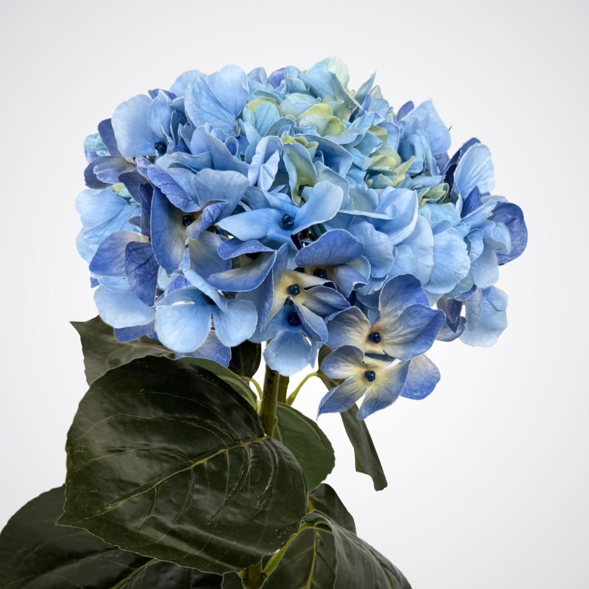 Blue Real Touch Hydrangea
