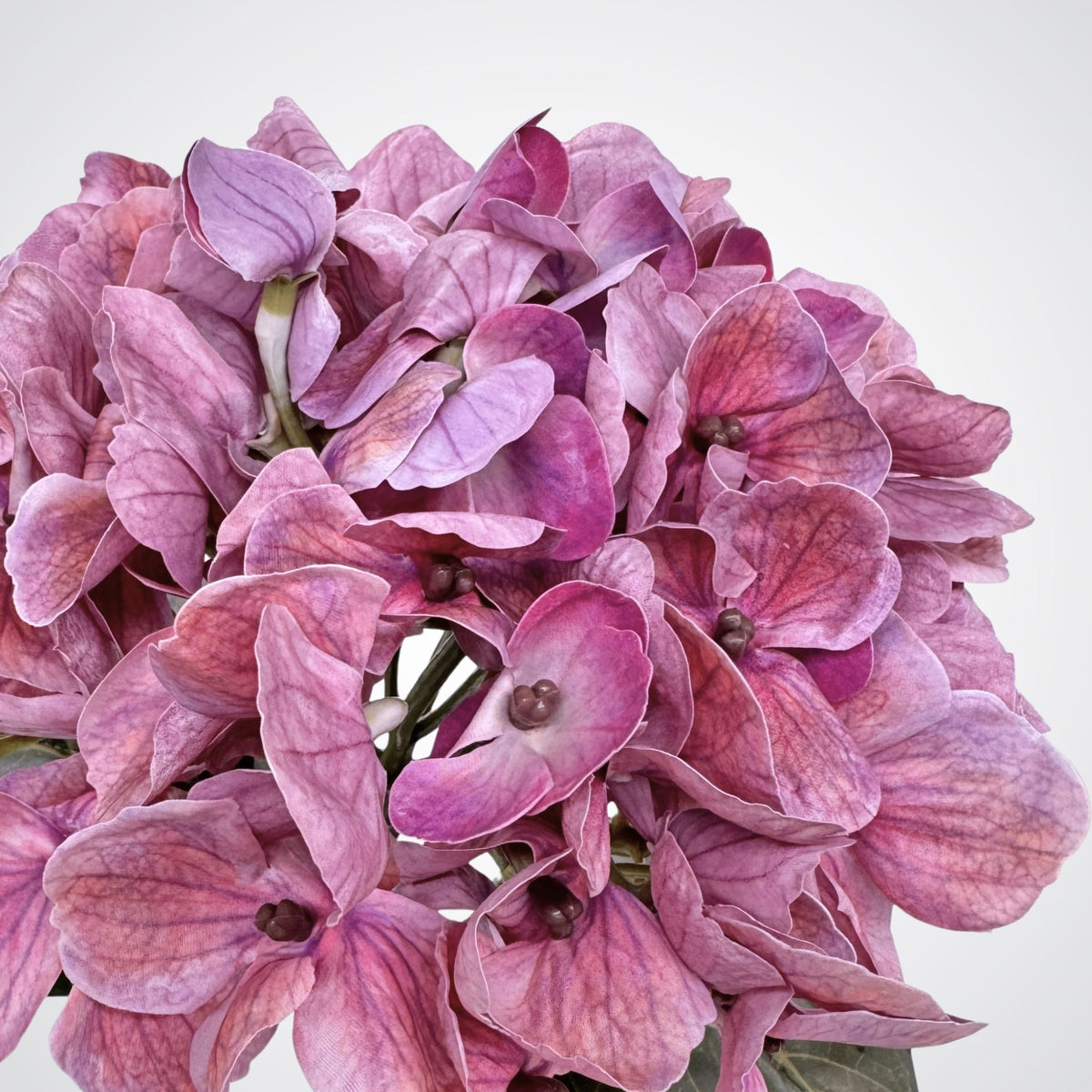 A close-up of a pink realistic artificial hydrangea flower head with layered petals in shades of dusty pink, mauve, and lilac against a plain light background. From My Faux Florist Canada.