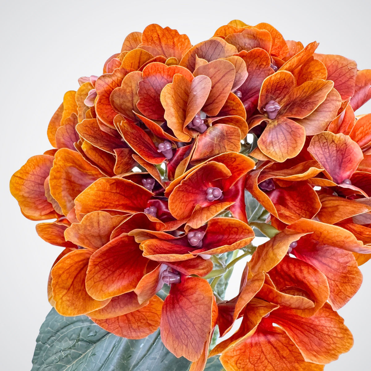 A close-up of a realistic faux hydrangea bloom with layered petals in orange, red, and deep burgundy tones, with a few green leaves visible at the bottom against a light gray background. From My Faux Florist Canada.