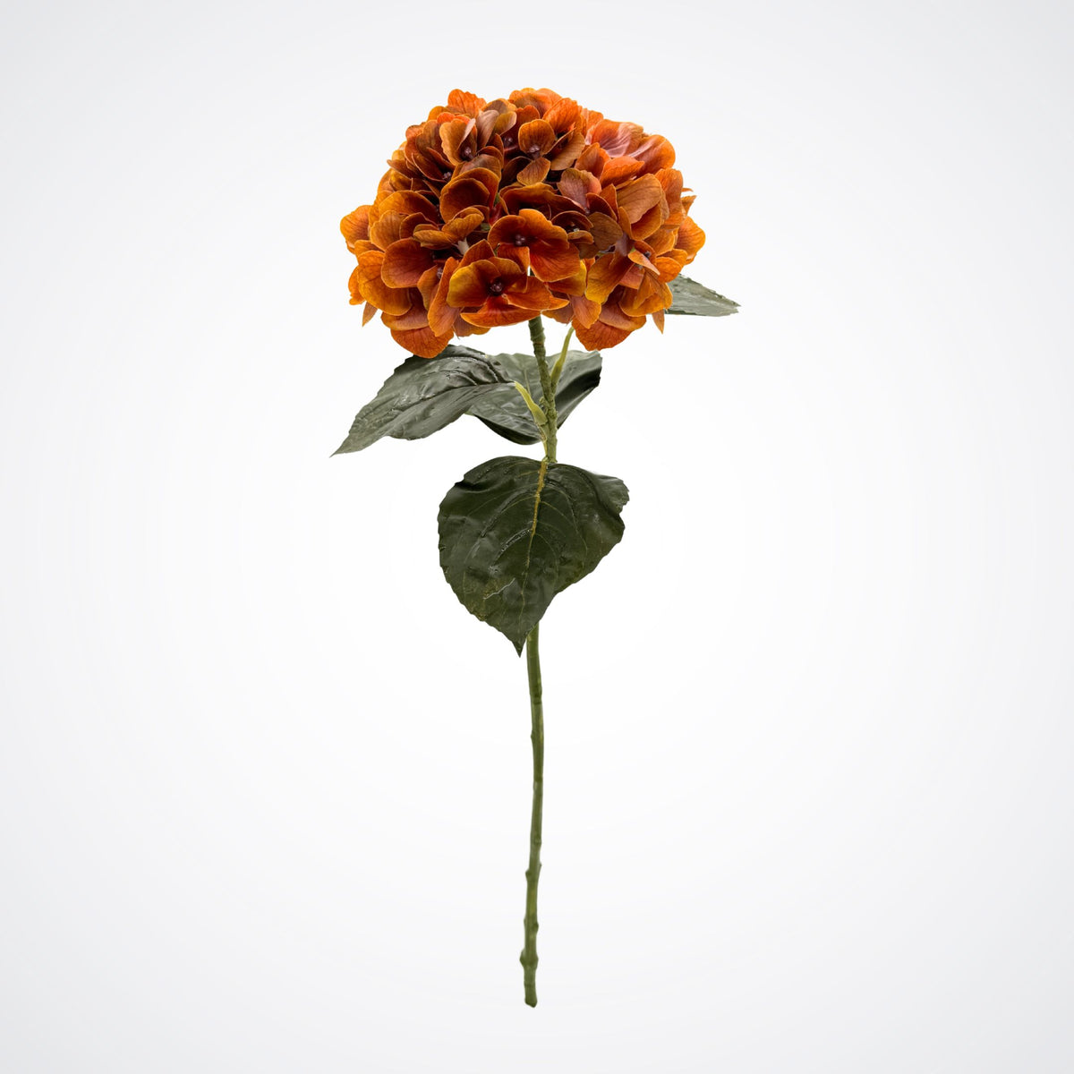 A realistic artificial hydrangea stem in orange/brown with dark green leaves, isolated on a solid white background. From My Faux Florist Canada.