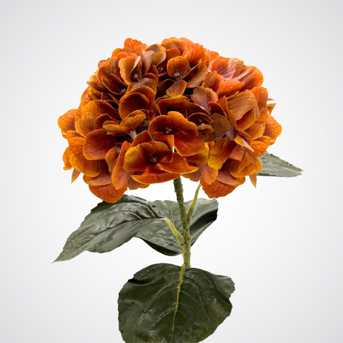 A realistic artificial hydrangea in orange - flower head with dark green leaves on a stem, photographed against a plain light gray background. From My Faux Florist Canada.