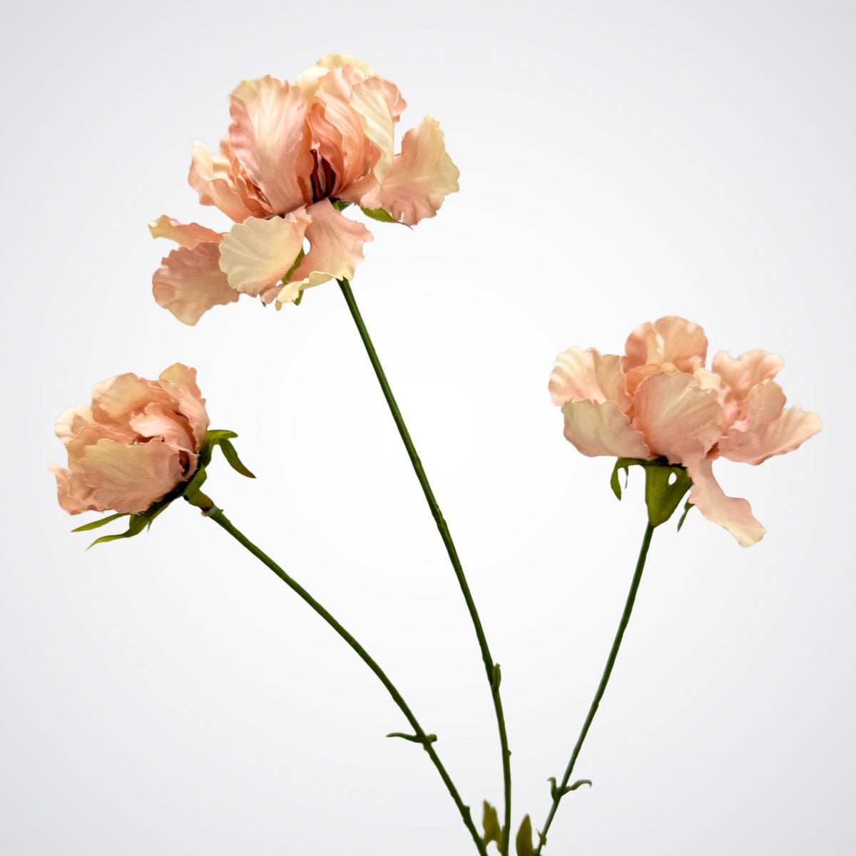 Antique Pink Silk Mums