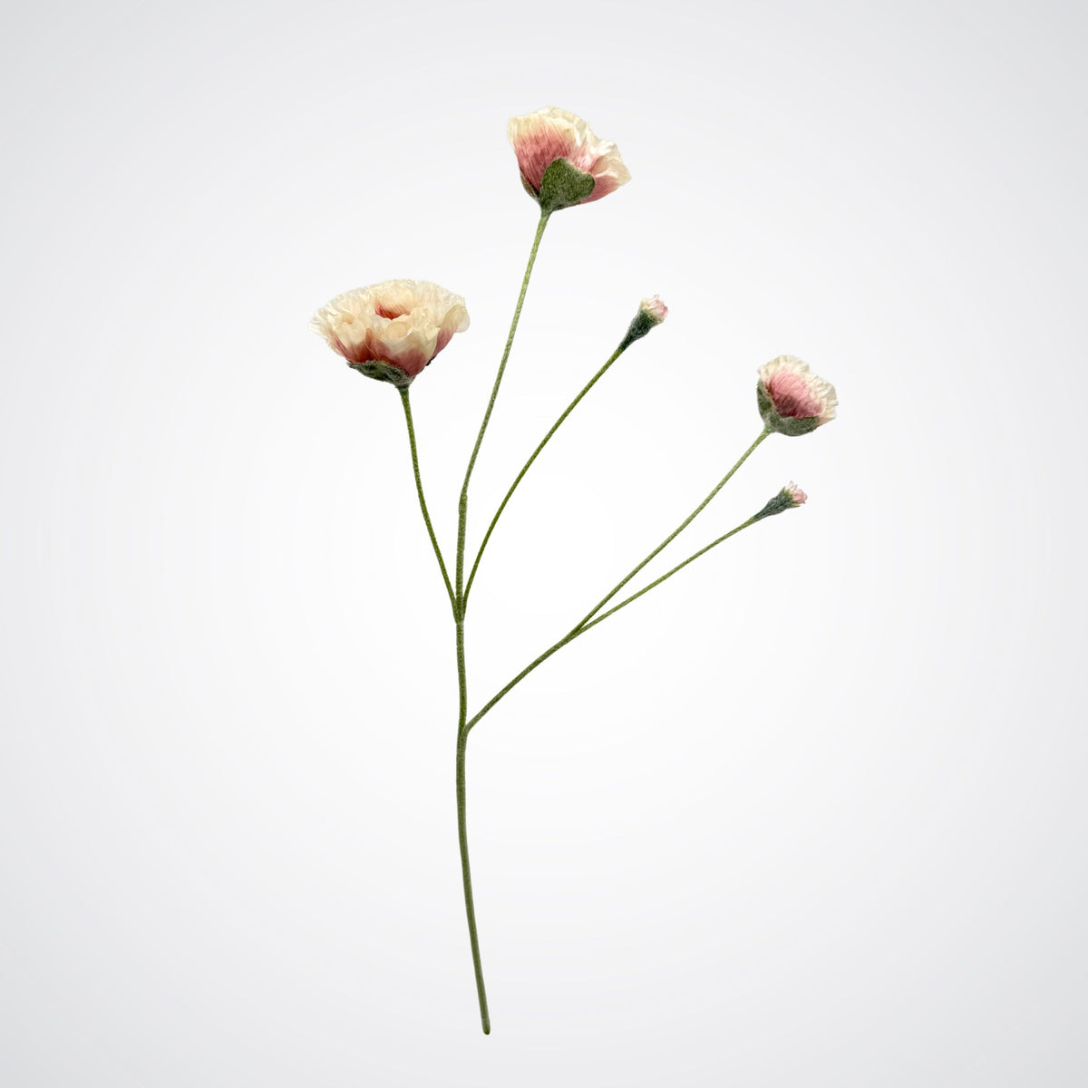 Realistic silk poppy with pale pink and cream petals on thin green stems, arranged against a clean white background. For My Faux Florist Canada.
