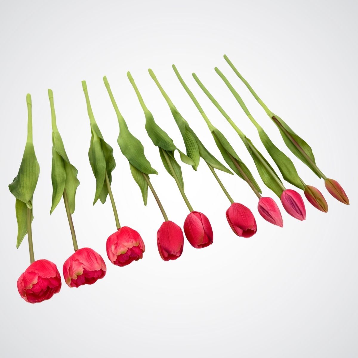 dark pink artificial tulips on a light gray background, for My Faux Florist Canada